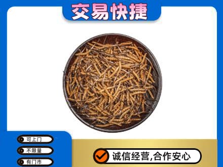德州回收散虫草